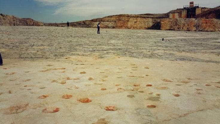 Una domenica nella cava dei dinosauri di Altamura: le visite gratuite tra le 25mila impronte - Bari