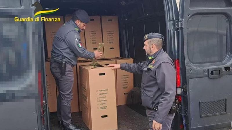 Immagine del post 2740 - Bari Sequestrati 30mila pezzi con marchi contraffatti al porto di Bari: il carico in arrivo dalla Turchia - Bari