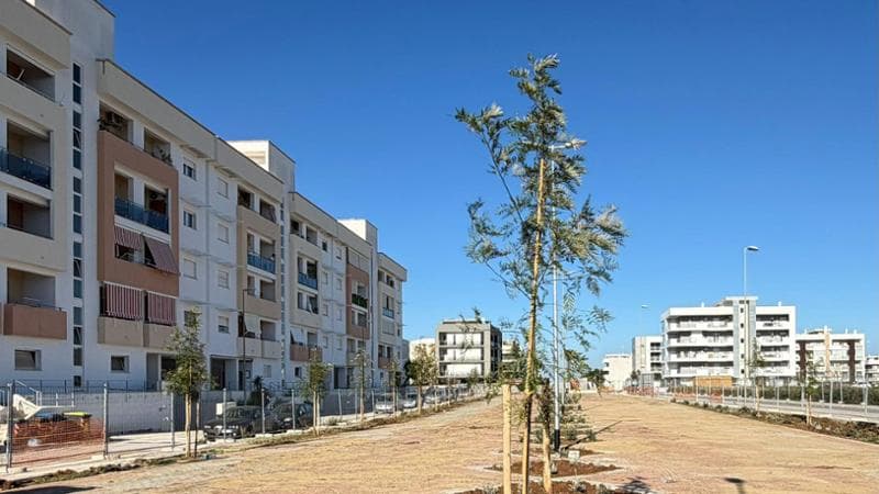 Immagine del post 17649 - Bari Bari, ecco il nuovo parcheggio green a Sant'Anna: "Ci sono 45 posti auto e tanto verde" - Bari