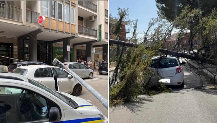 Raffiche di vento sferzano la Puglia: a Barletta palo su auto. A Foggia e provincia strage di alberi - Bari