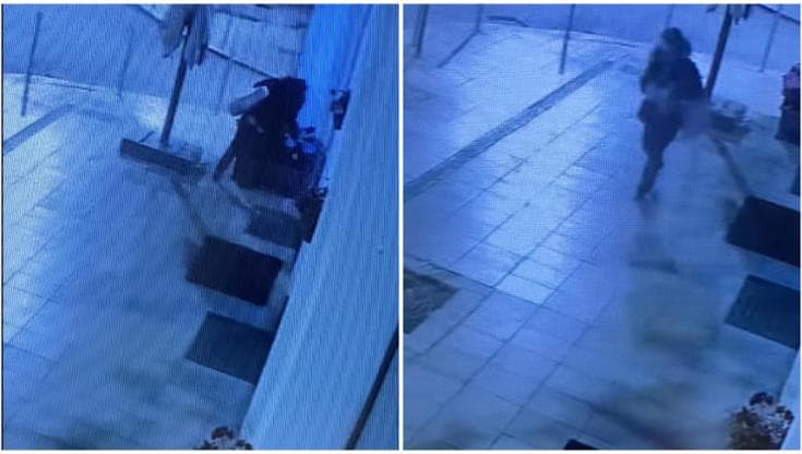 Immagine del post 6480 - Bari Bari, ladra di fiori in azione al bar Viola: il titolare pubblica il video e i social si scatenano - Bari