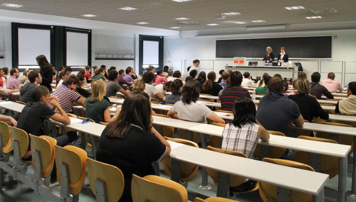 Immagine del post 8957 - Bari UniSalento, il test di Neuropsichiatria infantile finisce in chat: annullato l’esame di 377 studenti - Bari