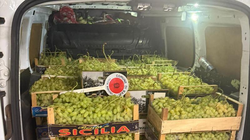 Immagine del post 10087 - Bari Porta quintali di uva al mercato generale di Bari, ma è un carico rubato: denunciato uomo di 35 anni - Bari