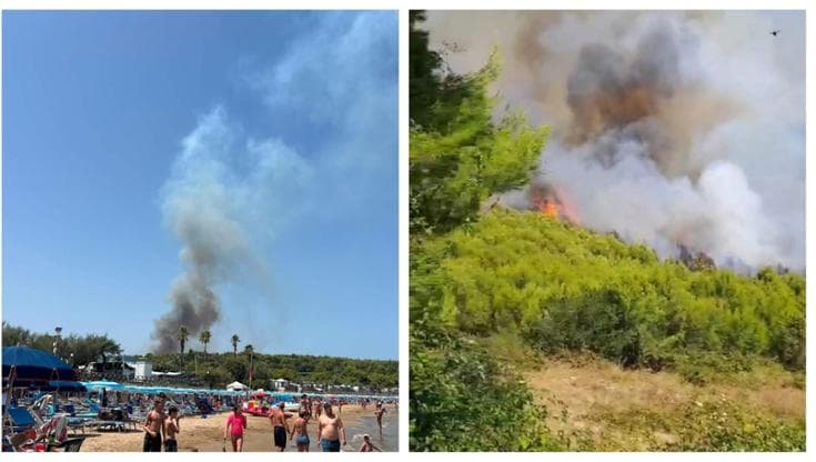 Immagine del post 23274 - Bari La Puglia brucia ancora, a Peschici pineta in fiamme: nube nera visibile da decine di chilometri - Bari