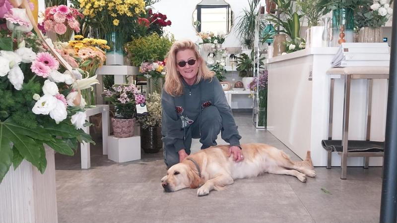 Immagine del post 19815 - Bari Nanà, il golden retriver che vive tra i fiori: “Accoglie i clienti e si fa coccolare dai passanti” - Bari