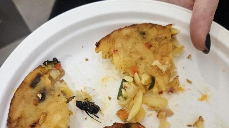 Lecce, ordina un hamburger vegetale alla mensa universitaria e trova all’interno un insetto morto - Bari