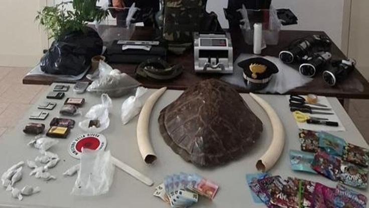 Immagine del post 8968 - Bari Bari, nonna e nipote arrestati per droga in casa popolare occupata: trovate anche zanne d’avorio - Bari