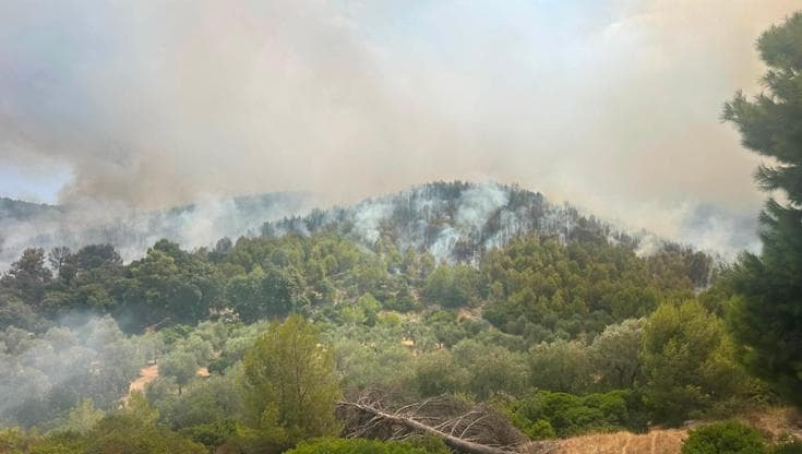 Immagine del post 23282 - Bari Gargano, fiamme domate ma resta allarme. Il sindaco di Peschici: “Turisti rientrati nelle strutture” - Bari