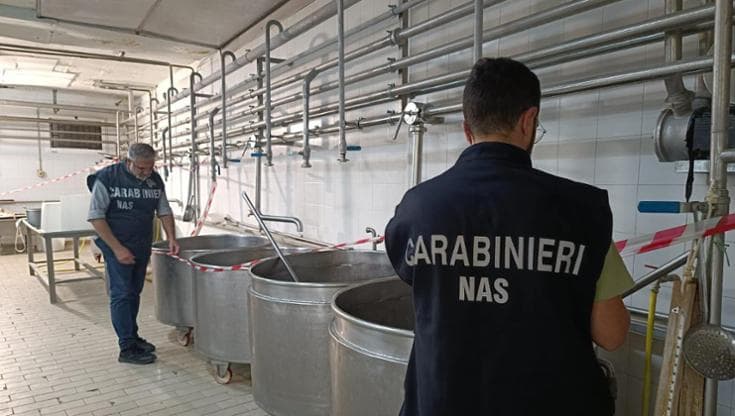 Immagine del post 12111 - Bari Mozzarelle con listeria, a Barletta locali abusivi sequestrati dai Nas: i titolari sono recidivi - Bari