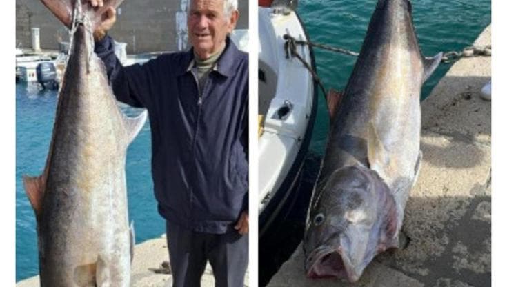Una ricciola da record abbocca in Salento: pesa 50 chili e per tirarla ci sono voluti 3 pescatori - Bari