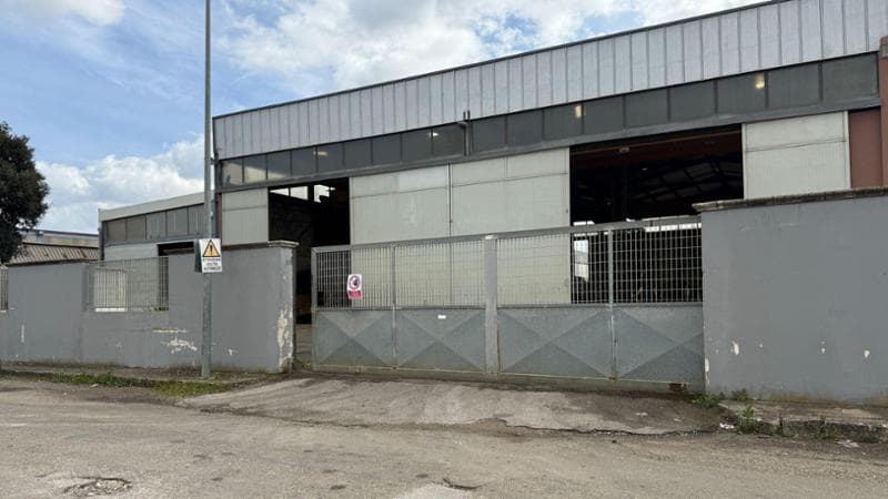 Salento, ferito operaio di 64 anni: è stato travolto da un muletto sotto gli occhi dei colleghi - Bari