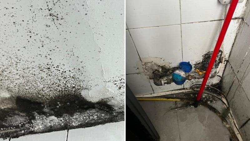 Immagine del post 18782 - Bari Bari, in 6 in 40 metri quadri in una casa piena di muffa: “Per un cavillo perso l’alloggio popolare” - Bari