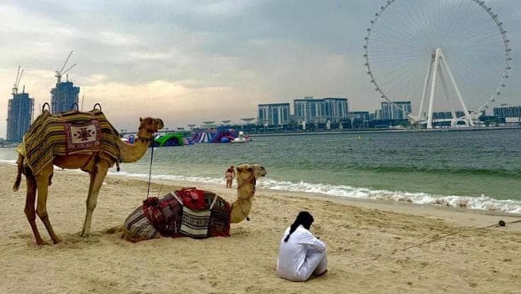 Immagine del post 18757 - Bari Guerra in Iran, i pugliesi cambiano meta per le vacanze: “C’è chi disdice anche Egitto e New York” - Bari
