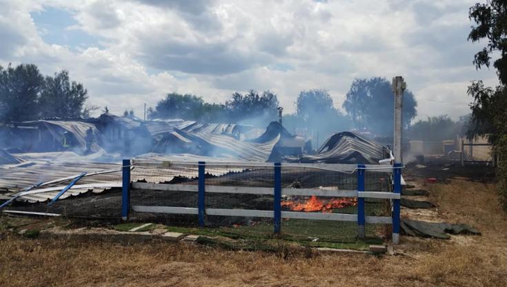Immagine del post 10146 - Bari Incendio distrugge ristorante sul mare a Molfetta: il rogo partito da un cortocircuito - Bari