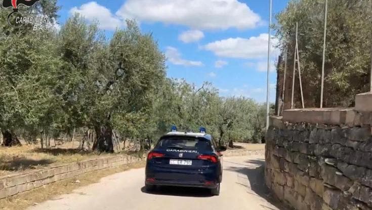 Immagine del post 23329 - Bari Ricercato per omicidio e rapina, trovato in un resort con piscina a Canosa di Puglia - Bari