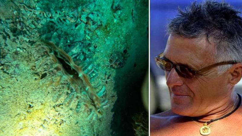Immagine del post 11082 - Bari La cozza pinna torna nel Salento, un esemplare di pinna nobilis a Porto Cesareo: “Commovente” - Bari