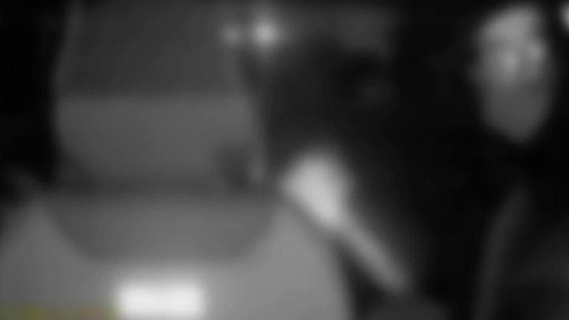 Immagine del post 1019 - Bari Bari, processo immediato per i finti clienti che accoltellarono il tassista Rubini per rapinarlo - Bari