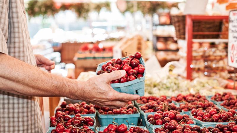 Un chilo per 23 euro la ciliegia è diventata il nuovo frutto proibito - Bari