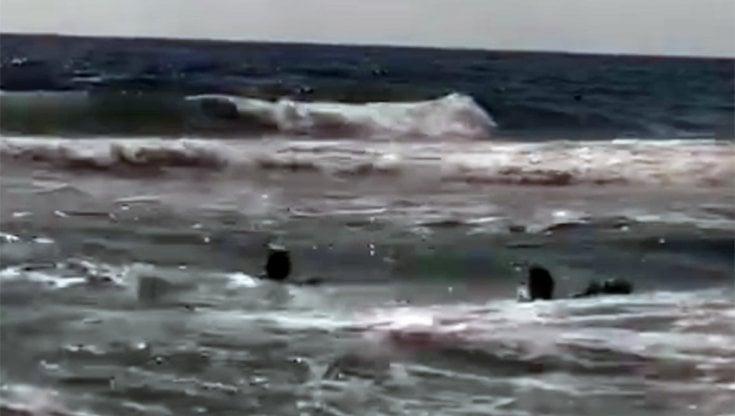 Immagine del post 9053 - Bari Annega un 49enne a Margherita di Savoia, c'era il mare mosso - Bari