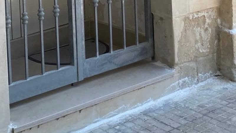 Lecce invasa dalle blatte e vie cosparse di veleni. L’allarme: "Polveri pericolose per cani e bimbi” - Bari