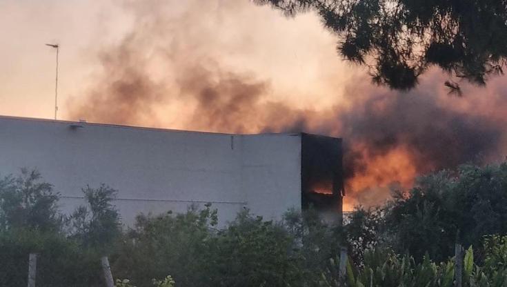 Immagine del post 10176 - Bari A Terlizzi da ore brucia azienda di concimi: decine di vigili del fuoco al lavoro. “Finestre chiuse” - Bari