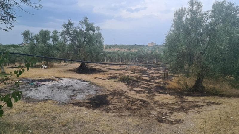 Immagine del post 11122 - Bari Trani, incendio in campagna: muore proprietario di 73 anni. Si indaga sull’origine delle fiamme - Bari
