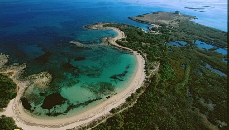 L’Oasi di Torre Guaceto set per “Resurrection” di Mel Gibson: sarà un villaggio di pescatori - Bari