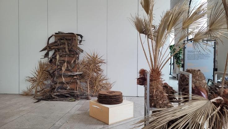 Un giardino d’artista allo Spazio Murat a Bari: è il ritorno in Puglia di Michele Guido - Bari