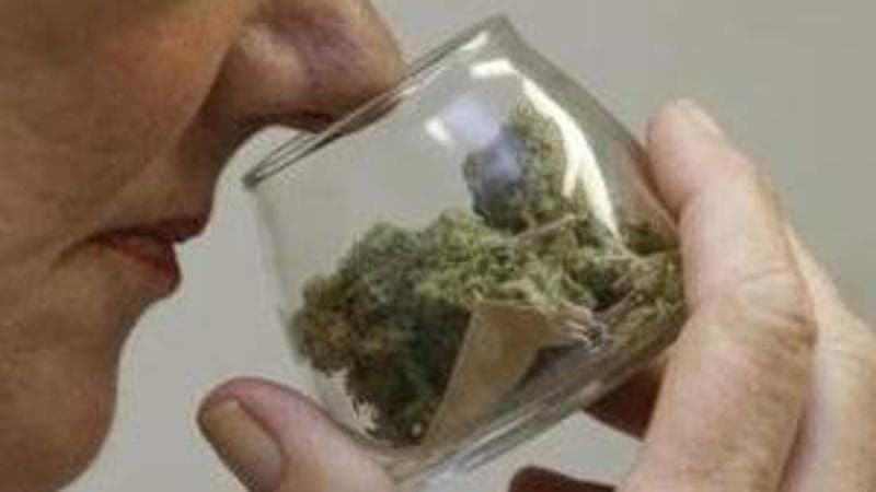 Immagine del post 18841 - Bari Tumori, uso della cannabis terapeutica: a Bari la ricerca clinica: “Migliorare vita dei pazienti” - Bari