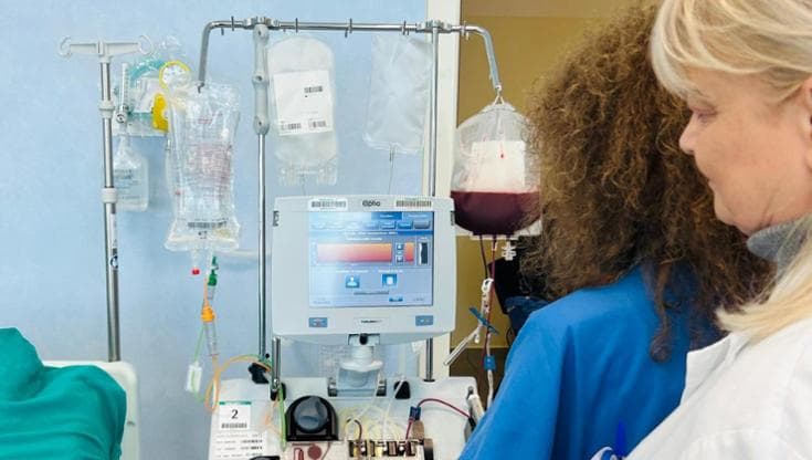 Immagine del post 19951 - Bari Terapia genica contro la talassemia, al Policlinico di Bari avviata la raccolta di cellule staminali - Bari