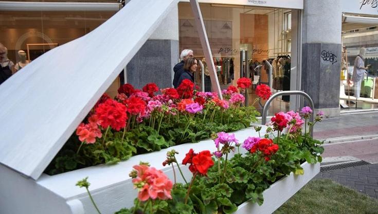 Immagine del post 7868 - Bari Torna Primavera mediterranea. Piazza del Ferrarese invasa dai fiori, Leccese: “Rigeneriamo la città” - Bari