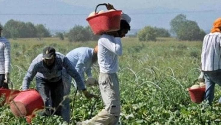 Immagine del post 22223 - Bari Migranti pagavano 6.500 euro per il visto, 30 indagati a Taranto: coinvolti centinaia di clandestini - Bari