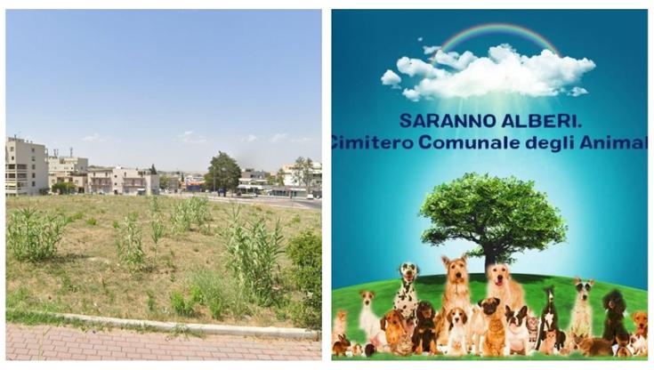 A Matera il cimitero degli animali: per ogni sepoltura piantato un albero. “Un bosco della memoria” - Bari