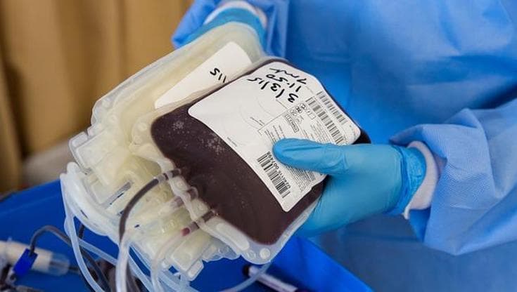 Fidas Bari, l’anno record per le donazioni di sangue: oltre 5mila. “Speranza concreta per i malati” - Bari