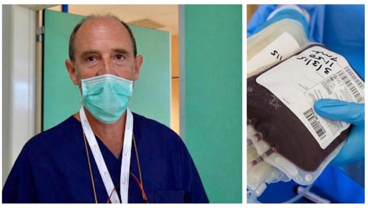 Immagine del post 10249 - Bari West Nile, il Policlinico di Bari: “No ad allarmismi. Bisogna donare il sangue, è sicuro” - Bari