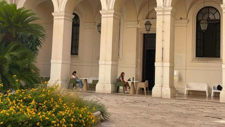 Caldo, a Bari spazi per studiare (o fare una pausa) all’ombra e immersi nel verde all’Ateneo - Bari