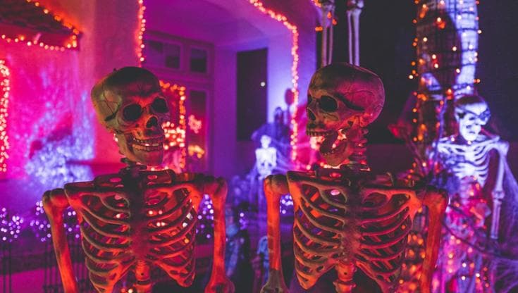 Come trascorrere la notte di Halloween, dai tour dell’orrore alla musica: 5 cose da fare a Bari - Bari