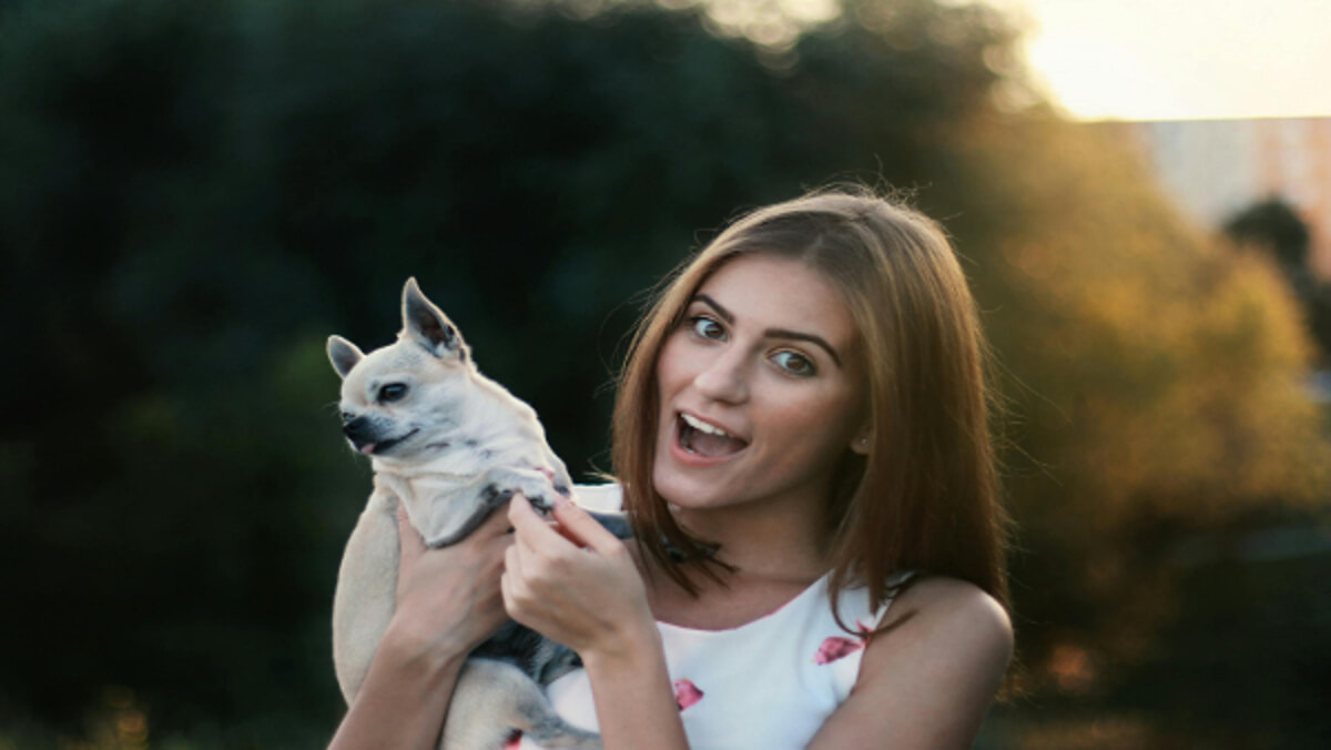 Immagine del post 3016 - Bari Bonus animali domestici 2025: guida completa su requisiti, vantaggi e come richiederlo - Bari