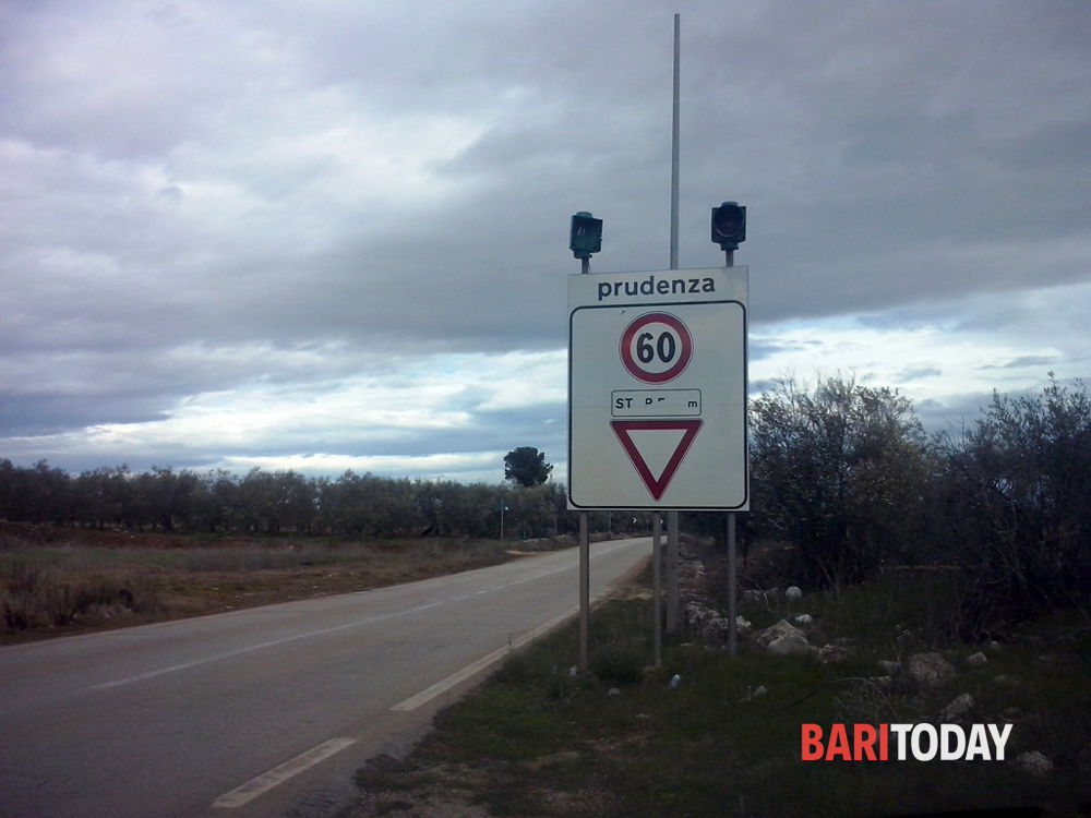 Allaccio idrico-fognario sulla provinciale Molfetta-Terlizzi, Aqp e Regione studiano il progetto - Bari