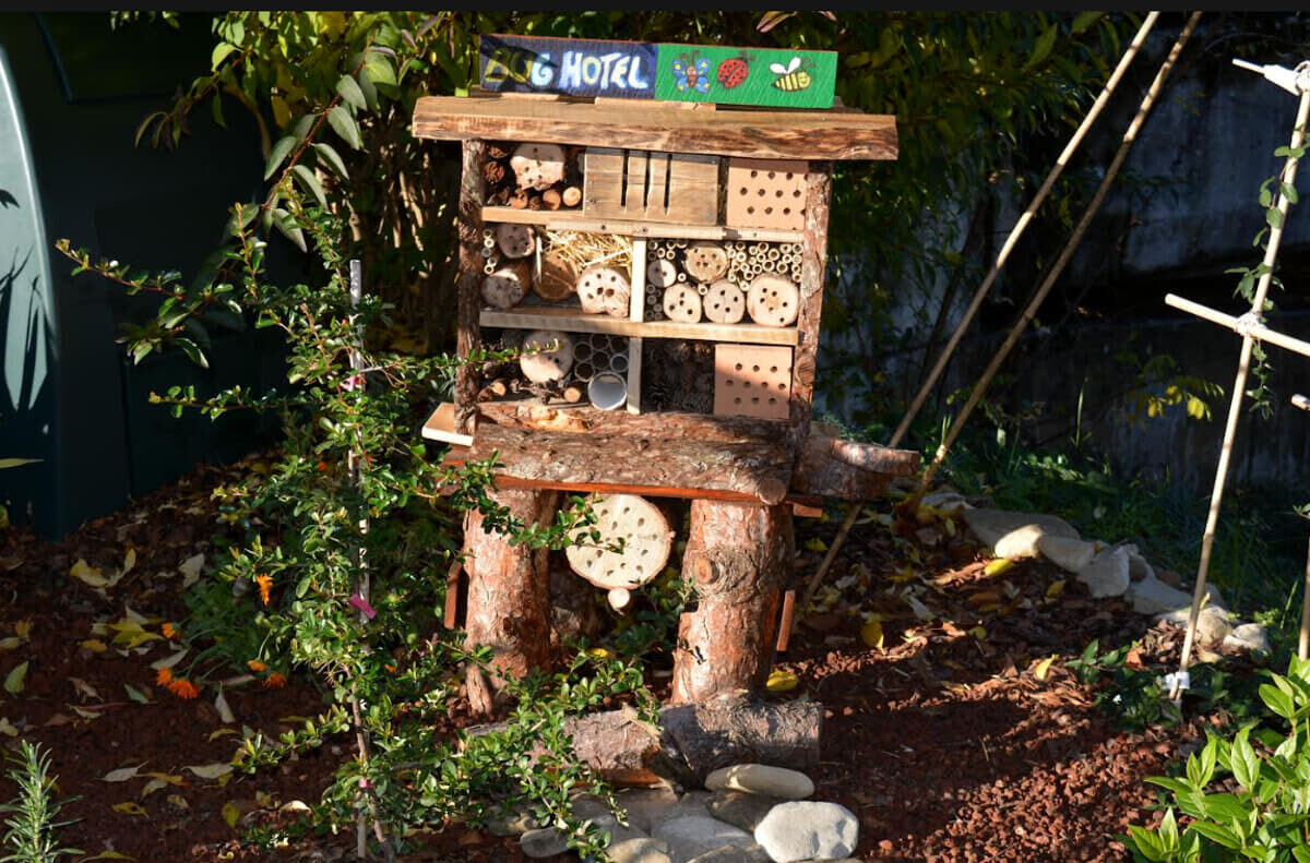 Immagine del post 1364 - Bari Un bug hotel per gli insetti impollinatori: premiata scuola media 'Montalcini' di Bari - Bari