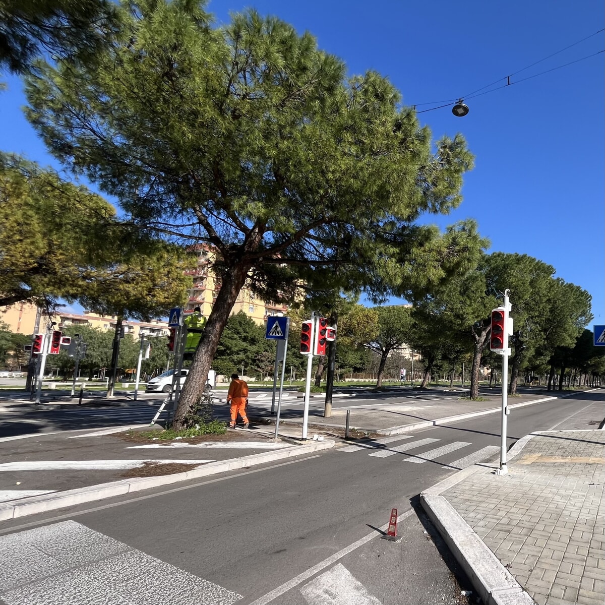 Immagine del post 3177 - Bari In via Caldarola un nuovo semaforo a chiamata per i pedoni: "Più sicurezza" - Bari