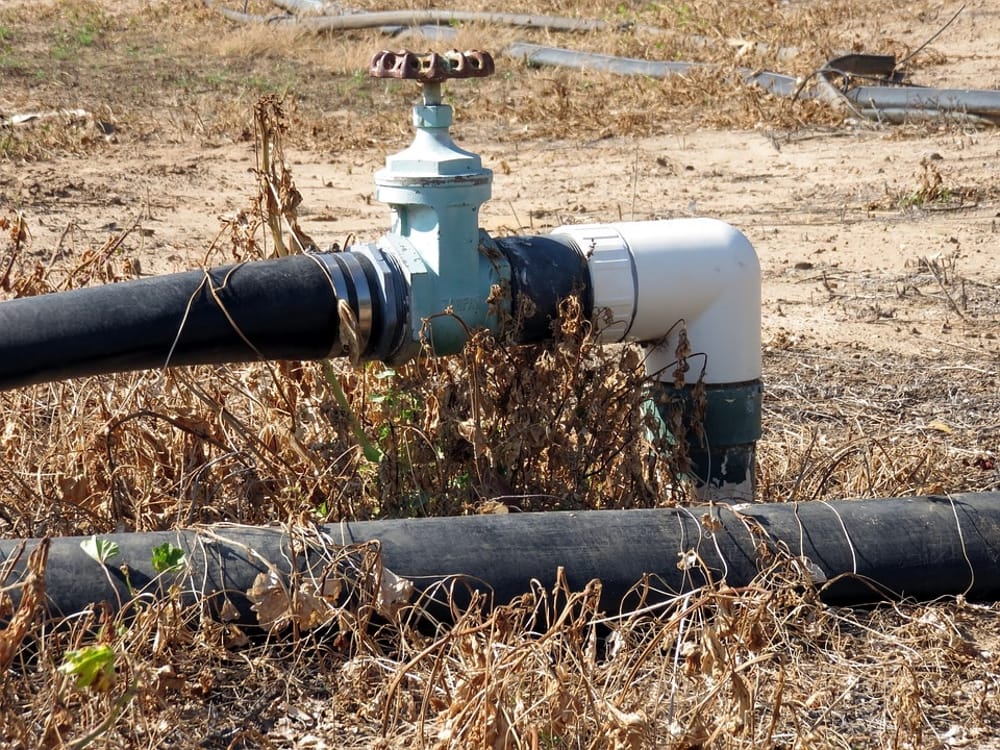 Immagine del post 3176 - Bari Crisi idrica in Puglia, l'allarme dei sindacati: "A rischio la filiera agricola" - Bari