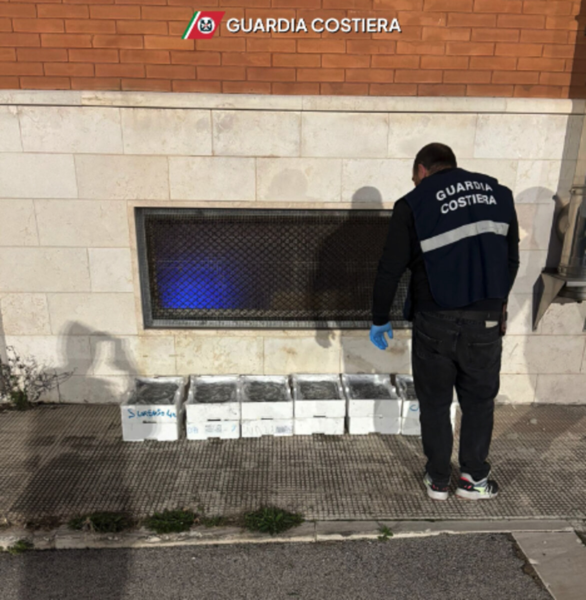 Immagine del post 1553 - Bari Pesce 'sotto misura' a Bari, sequestrati 60 kg di alici - Bari