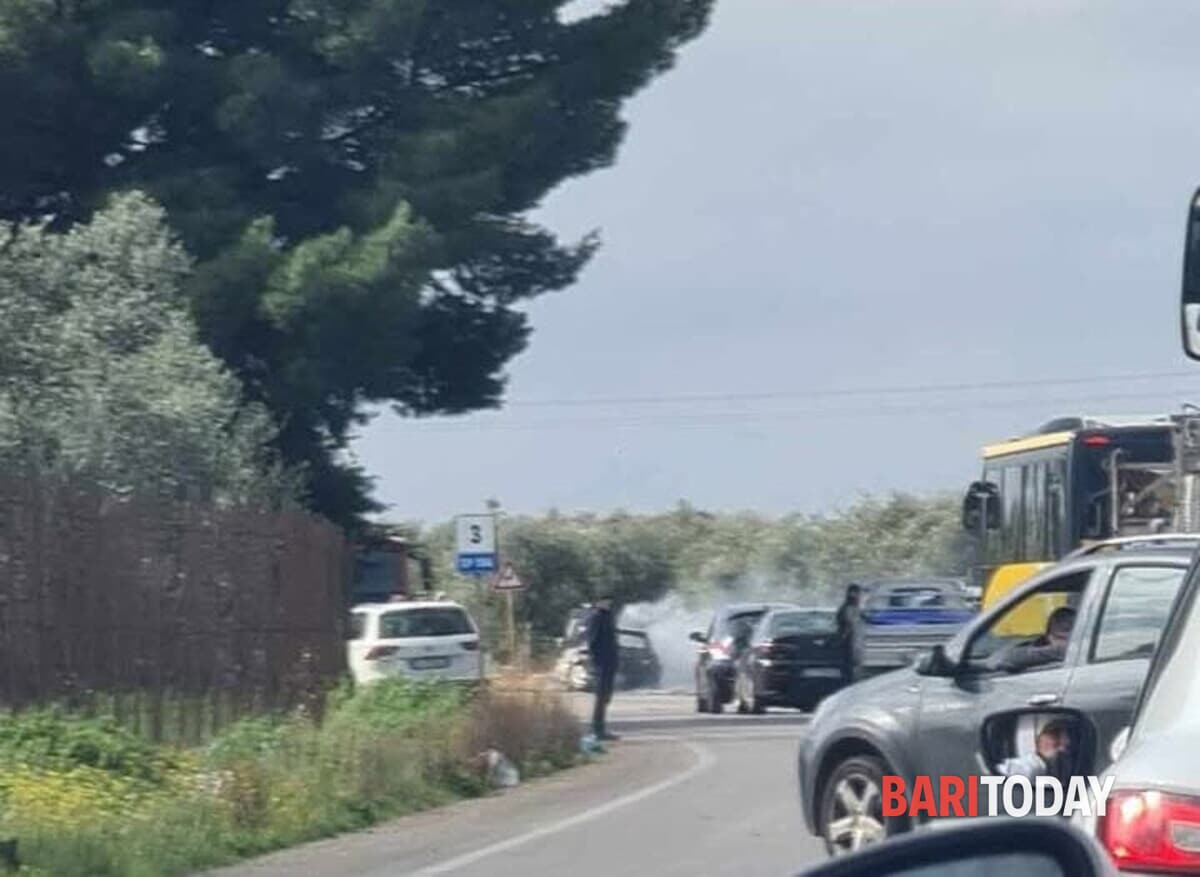Immagine del post 1603 - Bari Auto prende fuoco sulla Sp156: attimi di paura, ma nessun ferito - Bari