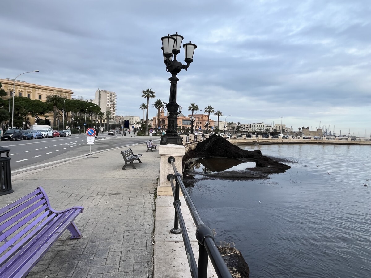 Lavori di rimozione della posidonia, completato l'intervento in diverse zone di Bari - Bari