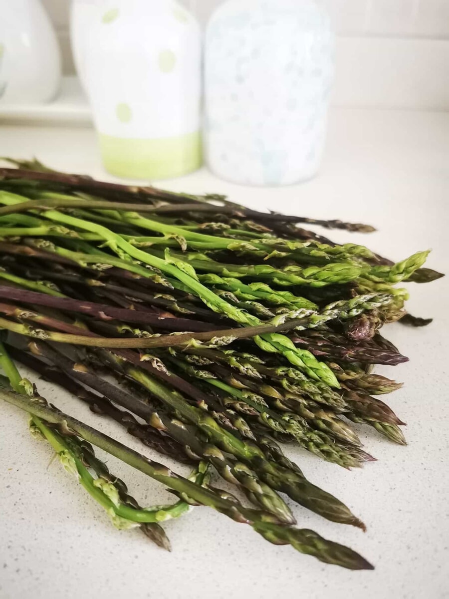 Immagine del post 5465 - Bari Primavera in Puglia: la magia degli asparagi selvatici in frittata - Bari