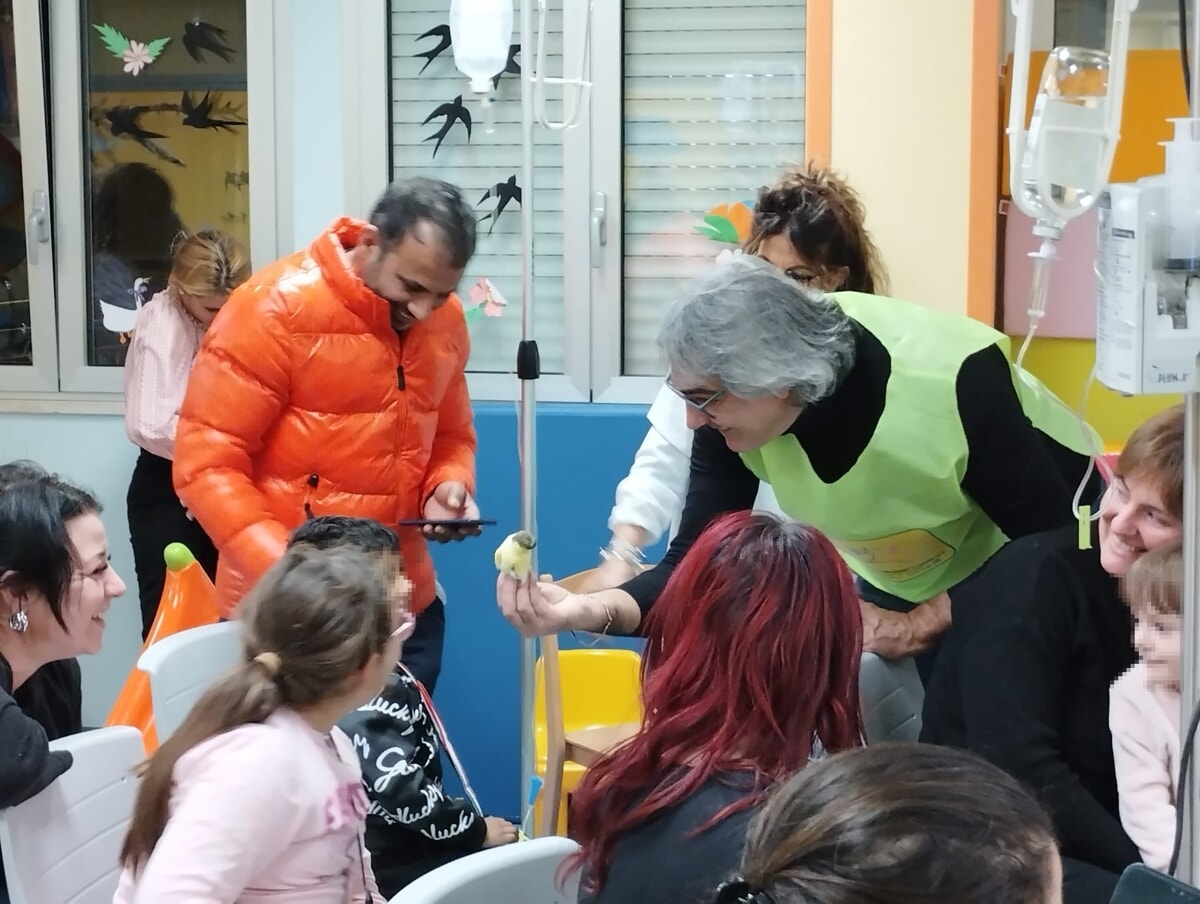 Immagine del post 691 - Bari La 'didattica pet' con i canarini anche al Giovanni XXIII: "Bambini e anziani felici e interessati dell'iniziativa" - Bari