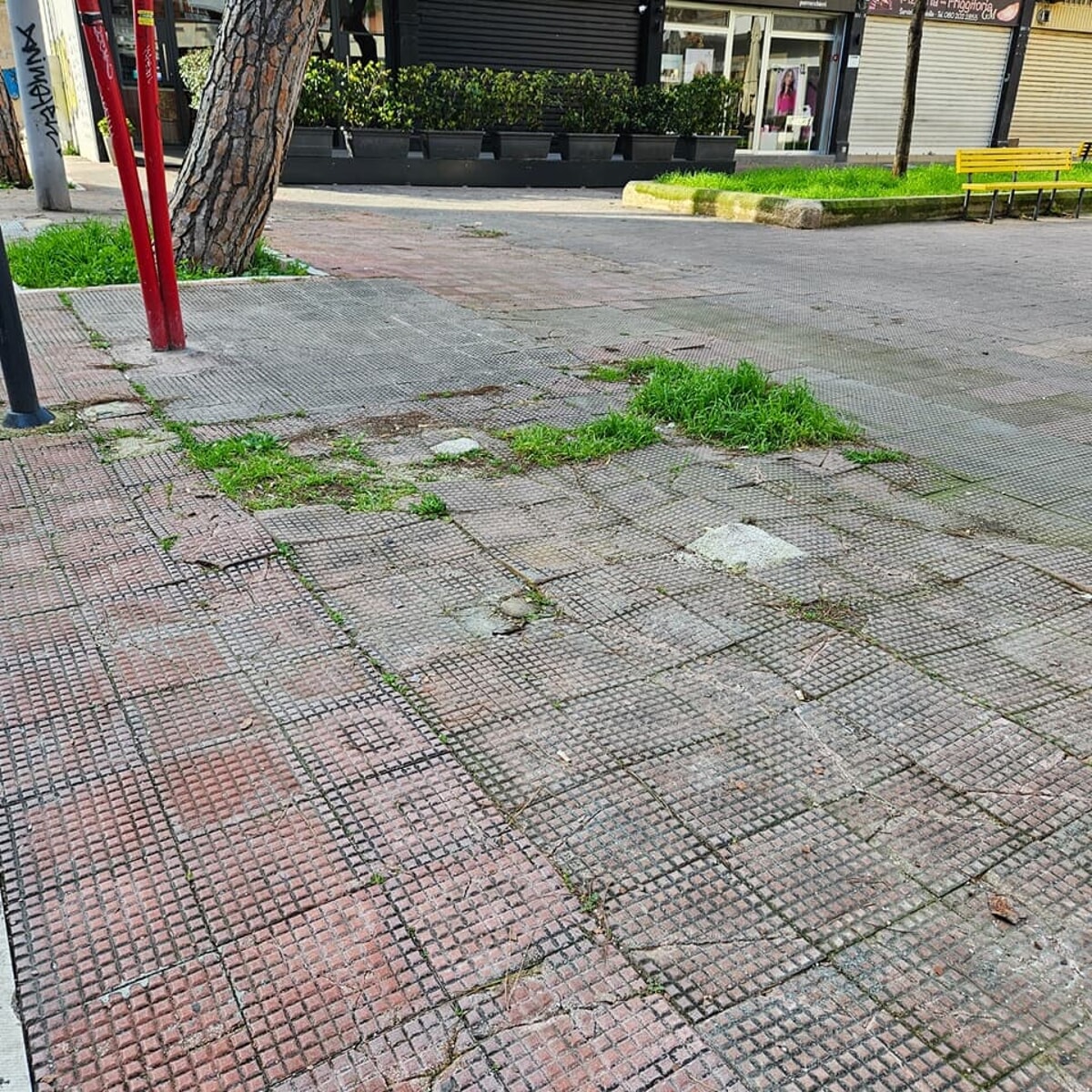 Immagine del post 3577 - Bari Mattonelle sconnesse, buche e scivolo per disabili danneggiato dalle radici degli alberi: "Piazzetta Margherita dimenticata" - Bari