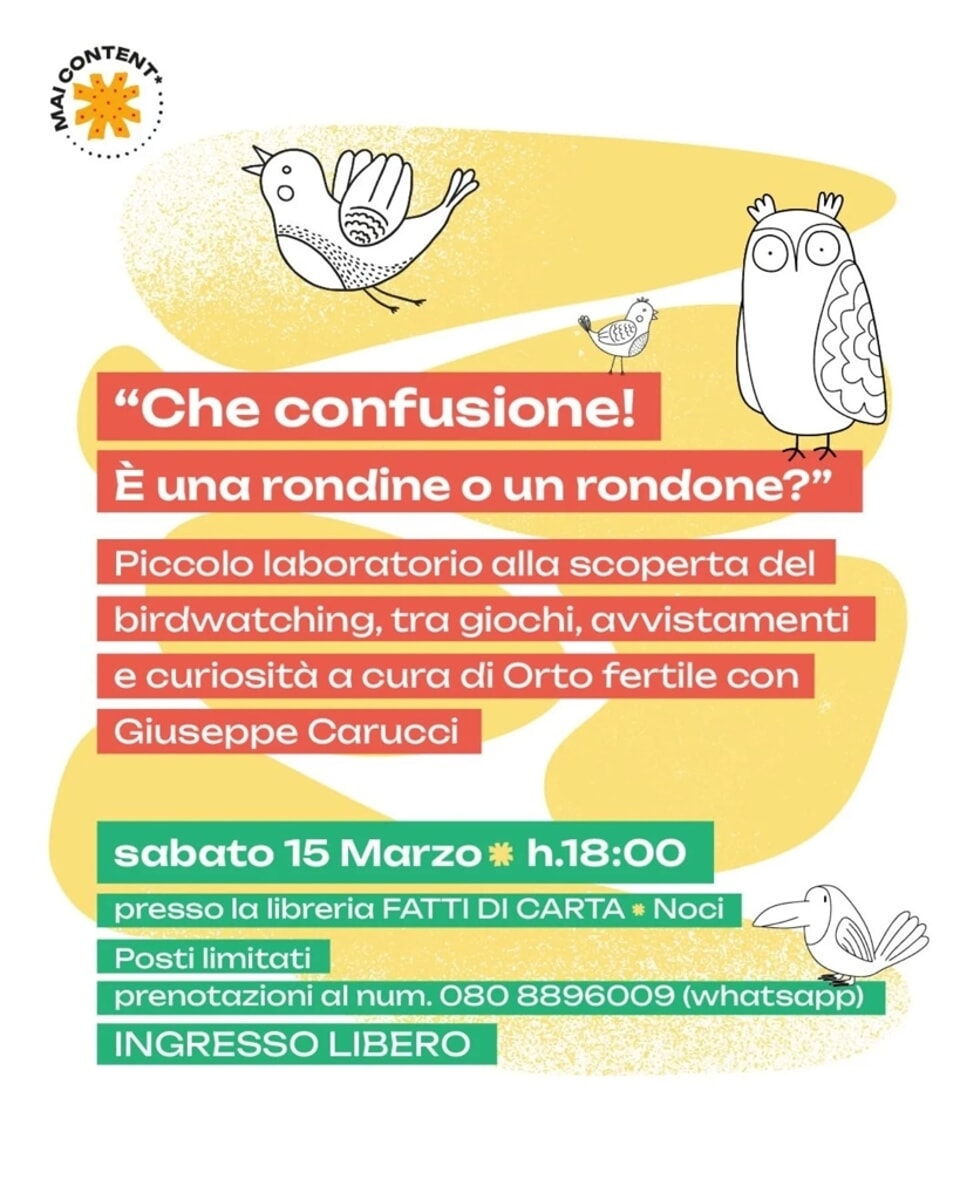 "Che confusione! è una rondine o un rondone" - piccolo laboratorio di birdwatching - Bari