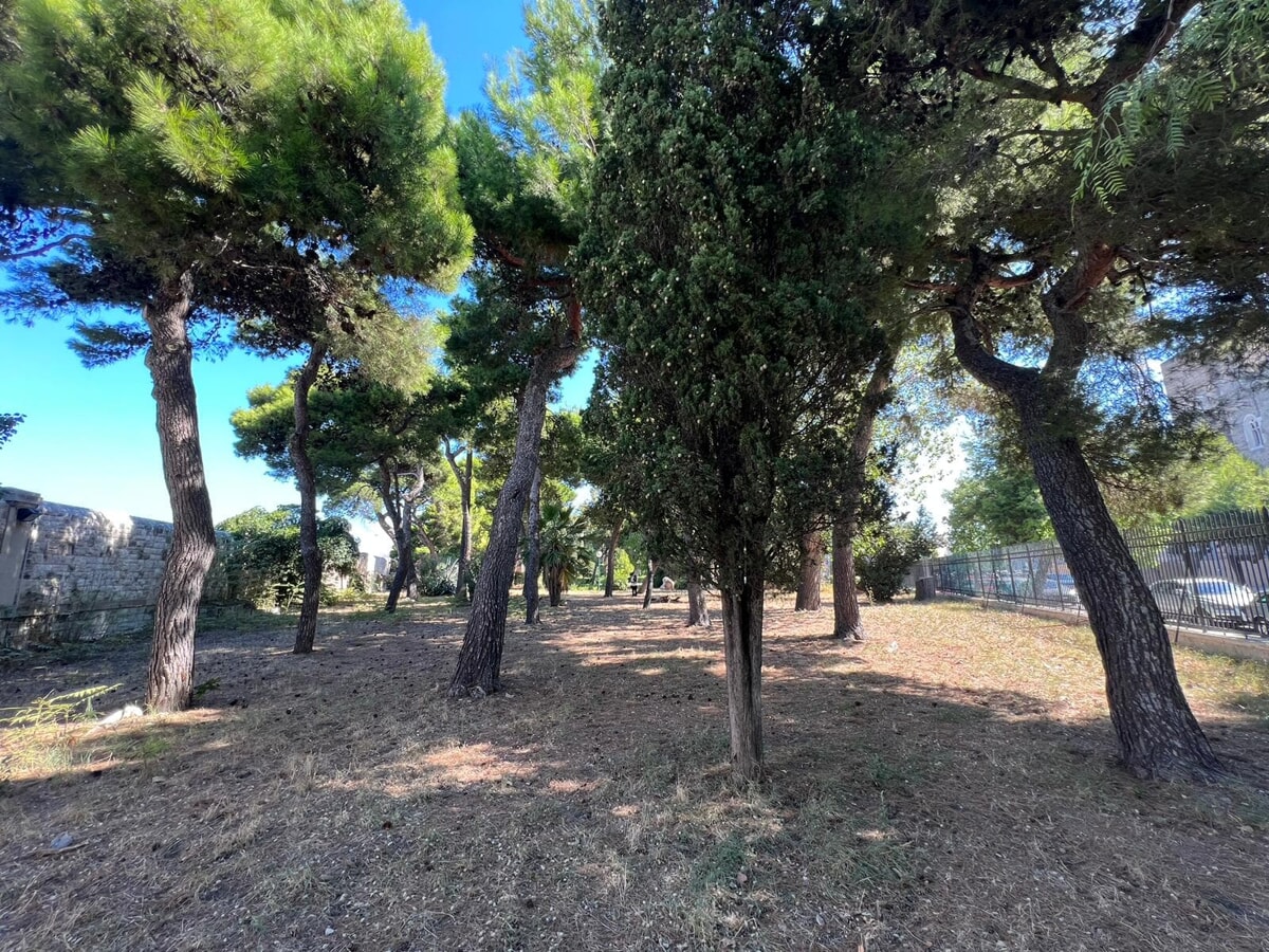 Nuovi impianti di illuminazione in parchi e boschi urbani: il Comune finanzia 14 interventi - Bari